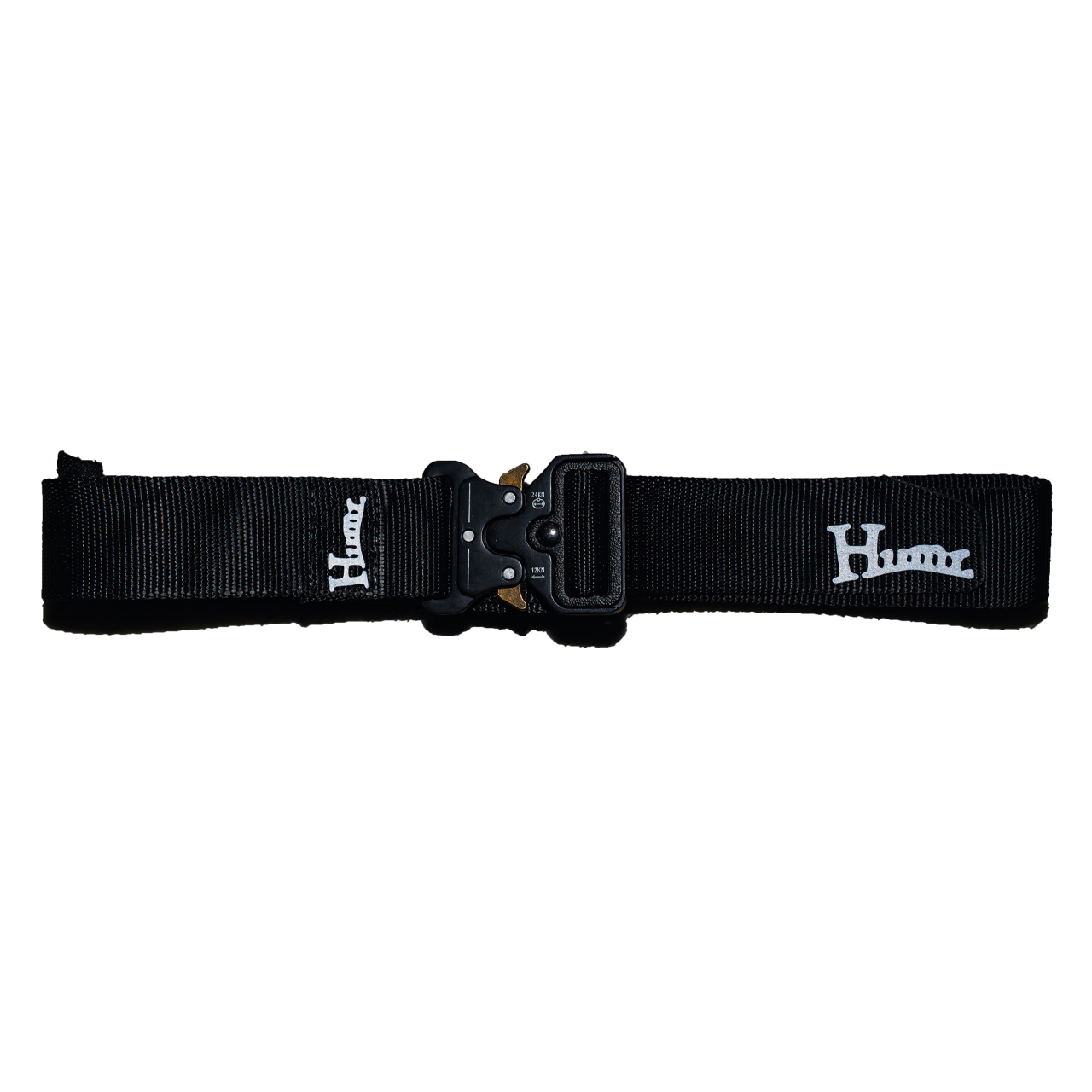 Matthew Belt Warped