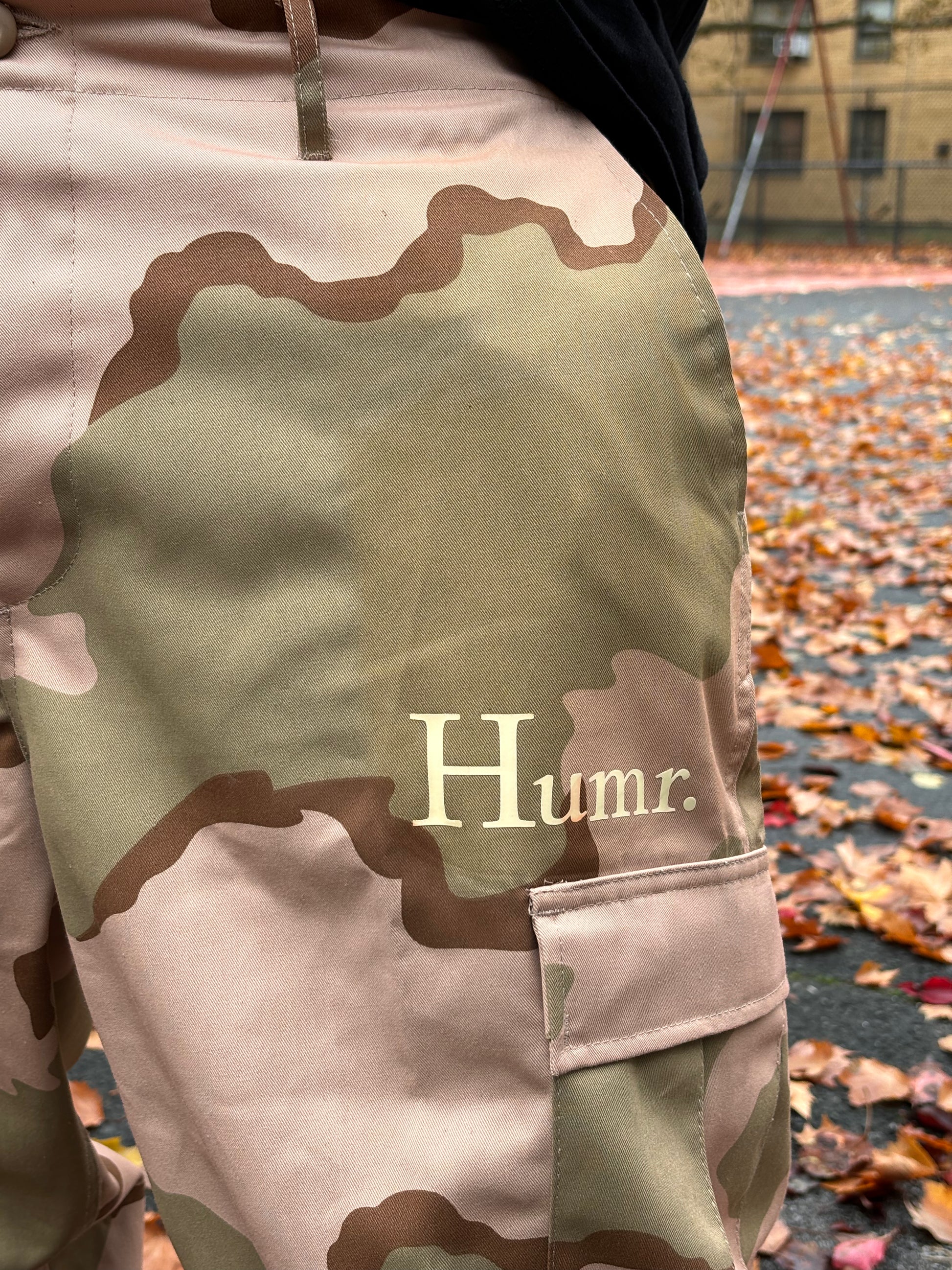 Desert camo 2025 cargo pants